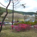 영천(대구)휴게소 이미지