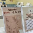 하루멍멍 | 관악구 무인애견놀이터 [ 멍멍파크 ] 내돈내산 후기