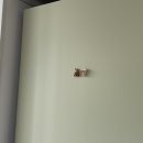 스테이 마당 이미지