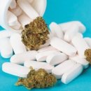 삼전약품(주) 이미지