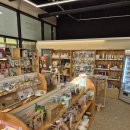 24아이스크림샵 | 목포 24시펫샵 그냥가개 전남도청점 방문후기