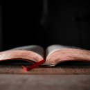 수호의 횃불 | 사도행전 29장