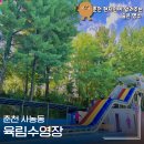 육림풀장 | 춘천 육림랜드 수영장 취사가능 명당자리 시원한 물놀이 가격 후기