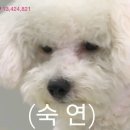 흰수염고래하우스