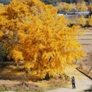 보령 나들이 2코스 이미지