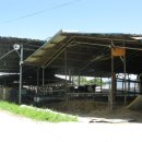 청와대목장 이미지