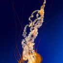 지수농원 이미지