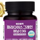 에코홀릭