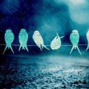 대명10동주민센터 이미지