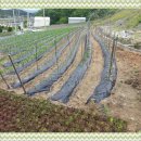 민준농장 이미지