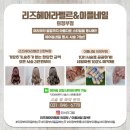 주니헤어아트