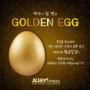 새하늘용인대태권도 이미지