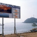 부곡IC 교차로 | 서해갯벌체험 왜목마을 번영회 경기도가볼만한곳 대부도갯벌체험 장소 서해펜션 후기