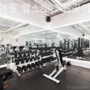 바디어필 이미지