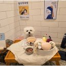 부산애견호텔 강아지유치원 맘바이 사하구점 이미지