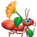 개미와베짱이 이미지