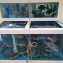 기장회마트 이미지