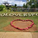 사랑의언덕 이미지