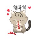 미소돌봄동물병원 이미지