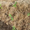 견우농장 이미지