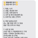 뽀송캣 이미지