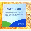 동산보건진료소 Daum카페