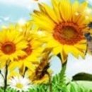 황토농장 이미지