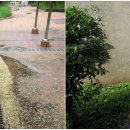 목포 미항초등학교 이미지