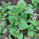 천산무관 이미지