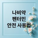 나비약국 | 나비약(펜터민) 완벽 분석: 효과, 부작용, 안전 사용법