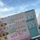 땡겨김밥