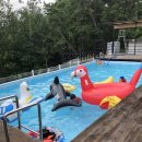 영월민박 서강1803 이미지