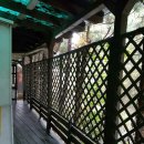 제일초등학교 이미지