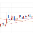 (주)브이팜 이미지