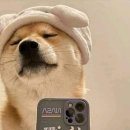 학동축산 이미지