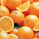 오렌지백반 이미지