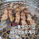 집으로돼지무전