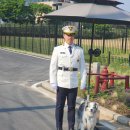 환상 어린이공원 이미지