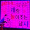 개랑놀아주는남자 | 강남 24시간 애견카페 개랑 놀아주는 남자 다녀온 후기