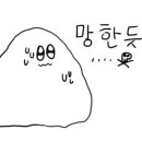 랑데자뷰건대 이미지