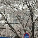 덕풍천서로 이미지