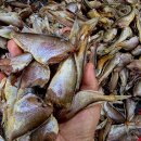 건조생선(참조기,병어,통치,민어,양태,우럭,참농어,참가자미,참돔,서대,박대,간제미,황석어,자반),동태전감,암대하,생와사비 이미지