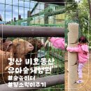 [아이랑가볼만한곳]경산숲놀이터 비호동산 유아숲체험원