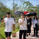 소호 숲 이미지