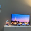 비둘기 컴퓨터 세탁소 | 240322 : 다시 활기를 되찾는중