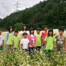 감전(메밀축제장) 이미지