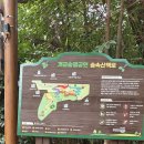 ^^9/17(수요일)벙개도보 맛집 이미지