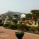 신기초등학교 이미지