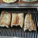 대명돛대 이미지