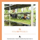 클로버 태양광발전소 이미지